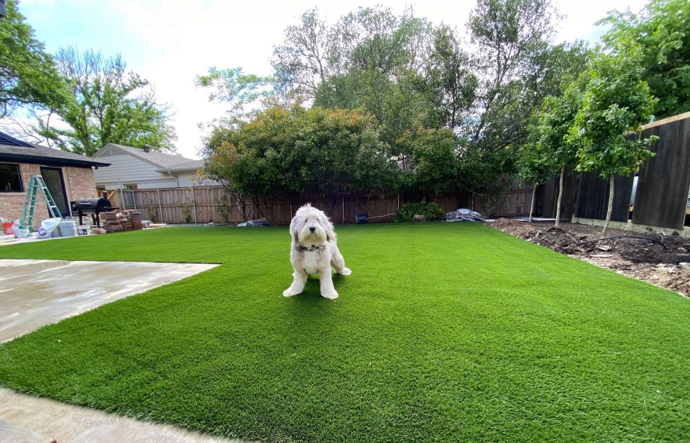 Guide to Installing Artificial Grass on Soil Surfaces