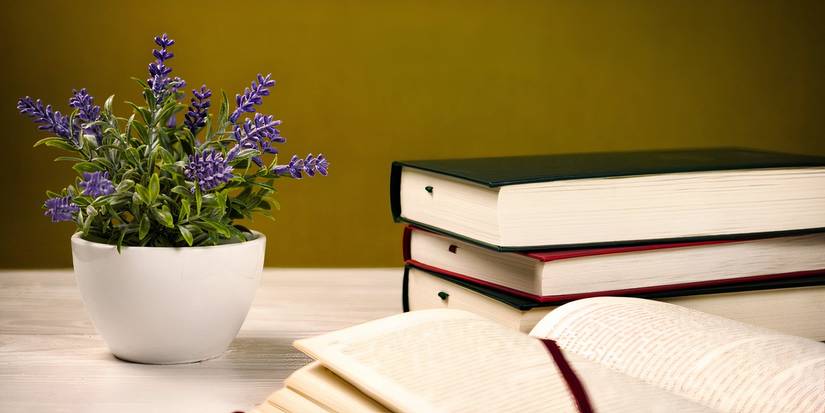 Plante en pot à côté de livres