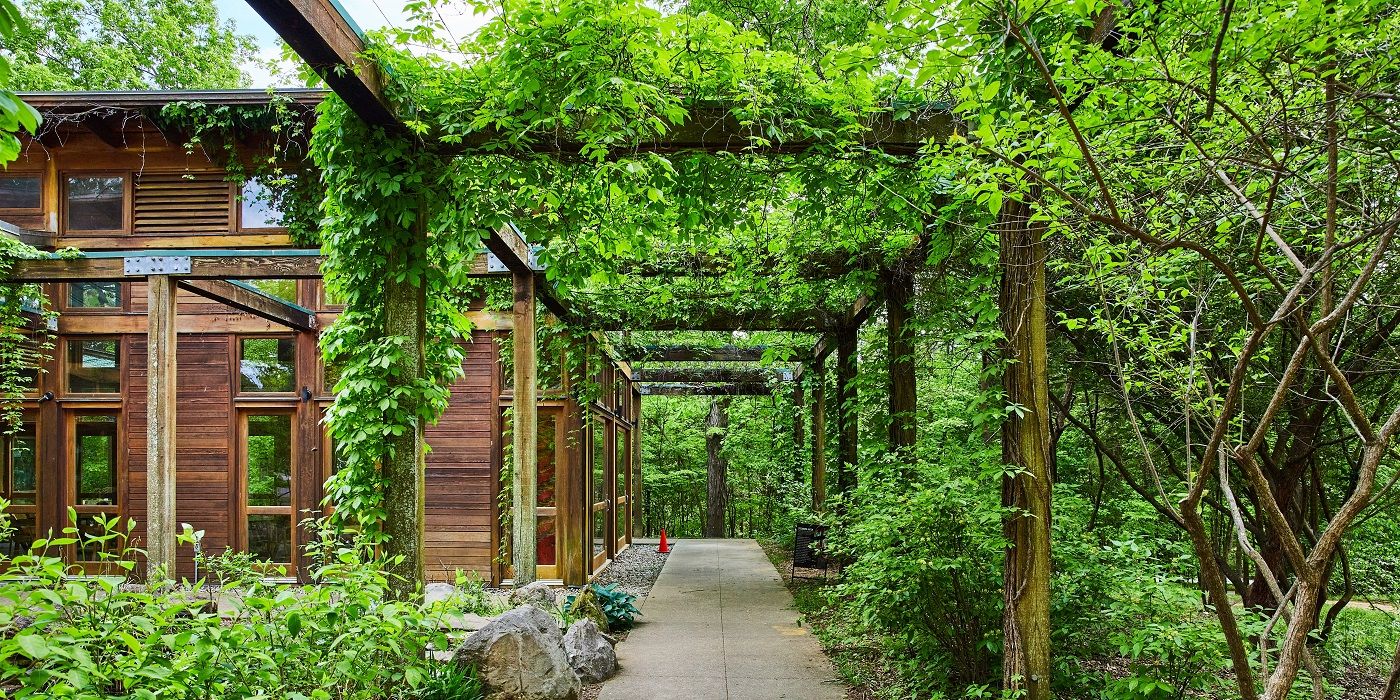 Allée extérieure avec pergola et plantes qui poussent