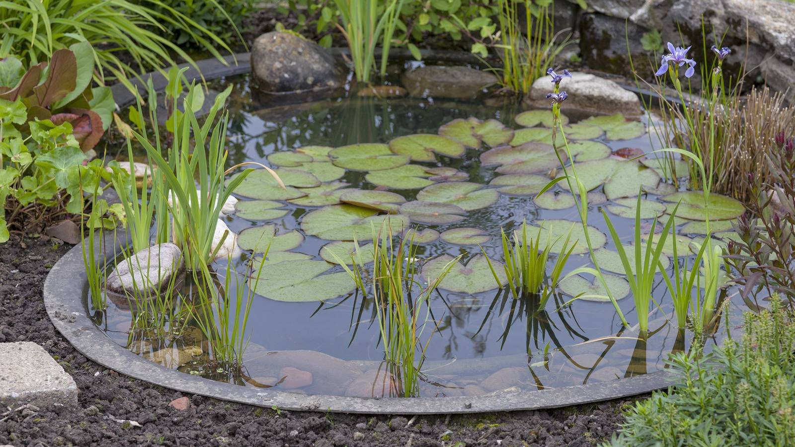 Bassins DIY pour le printemps