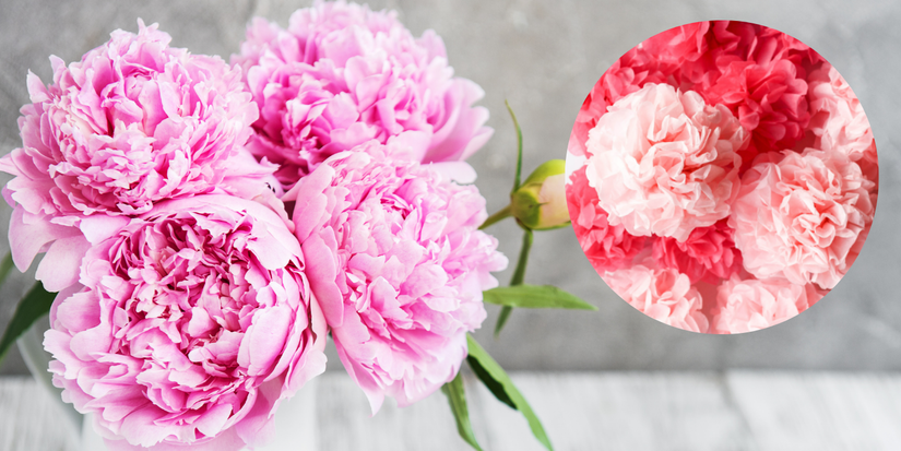 Pivoines roses dans un vase avec pivoines en papier